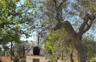 Masseria Cesarina B&B - Foto 42