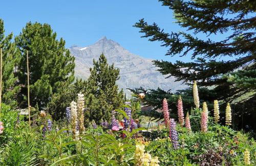 Tignes2100 - Le Télémark - Foto 35