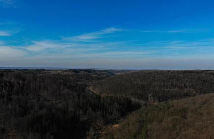 Chalet du Schlossthal - Étang - Foto 28