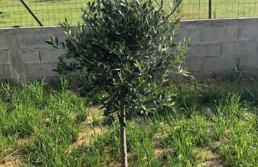 Villa MaLou - Foto 35