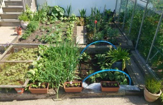 Ocean Front Beach House With Direct Beach Access - Foto 4