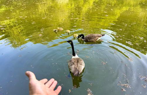 Sunridge Fishing Lodge with Hot Tub & Giant Cinema - Foto 72