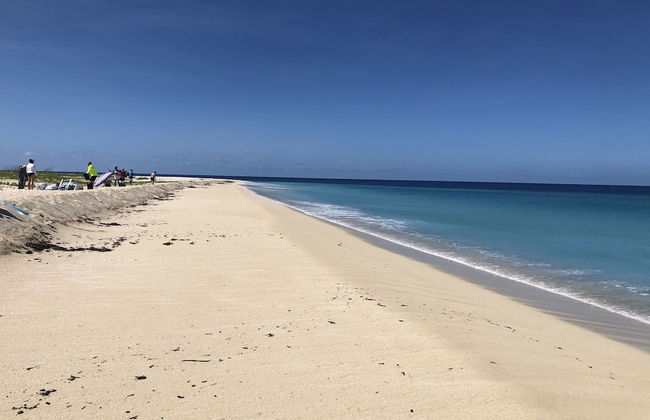 Sea View Play - Photo 64