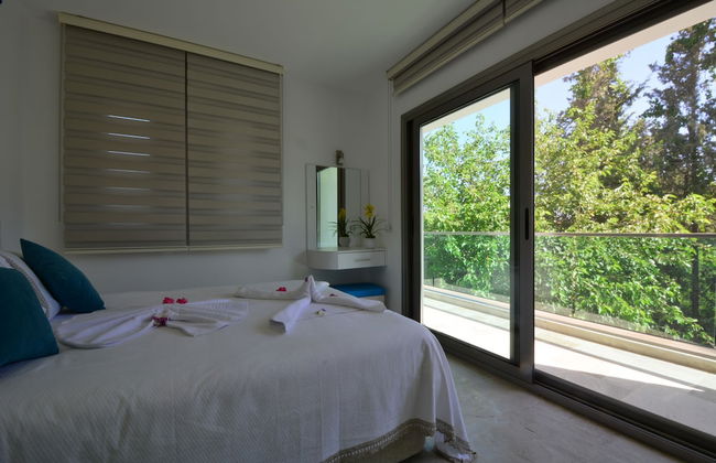 Light of Apollon - Foto 2