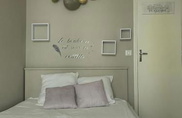 Appartement haussmannien au cœur d Orléans - Foto 9