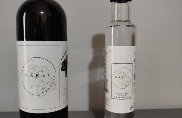 Karel house - Foto 43