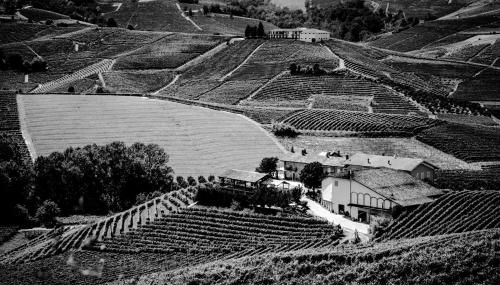 Agriturismo Cascina Sciulun - Foto 5