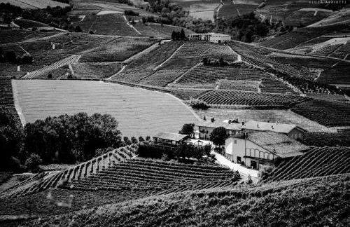 Agriturismo Cascina Sciulun - Foto 5