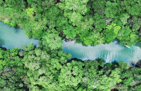 19 Son's Geronimo - Birdhouse Cabin - Photo 71