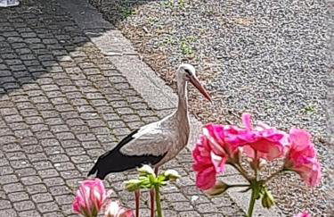 Apartament nad wodą - Foto 3