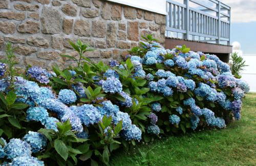 Villa Ty Marie Ile aux Moines sur la plage vue mer à 180 dégrés - Foto 53