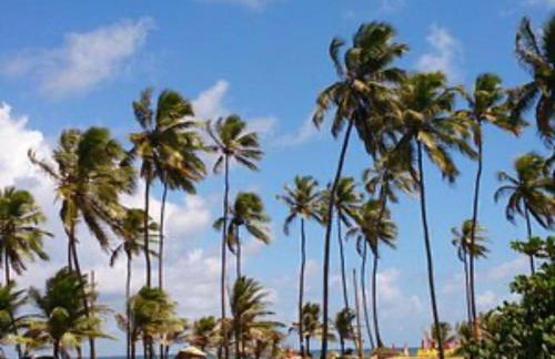 Casa aconchegante em buraquinho - Foto 26