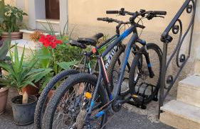 NEpicentro - Foto 35