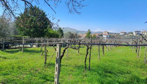 Pier Delle Vigne B&B - Foto 5