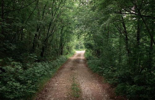 Villa Moretto with Private Pool & Jacuzzi - Rijeka area - Photo 28