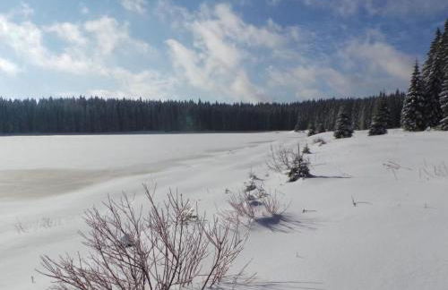 Apartment Fewo Henneberg by Interhome - Foto 7