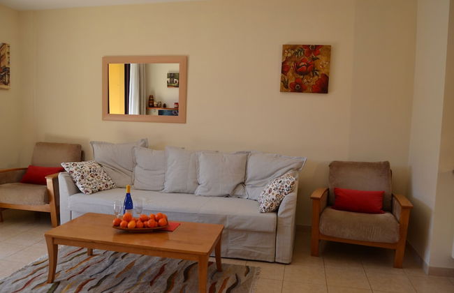 Olivia Sunbeach - Photo 46