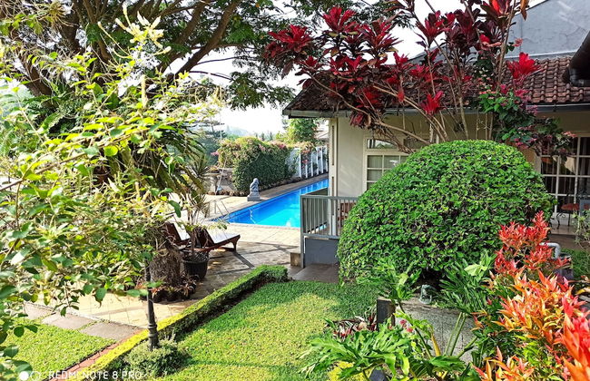 Samami Garden - Photo 34