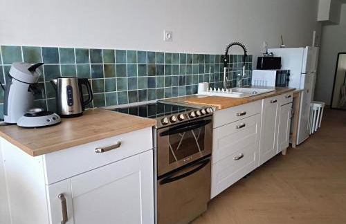 Appartement en RC au bord du lac - Foto 6