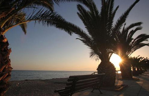 Paradise Place - Foto 8