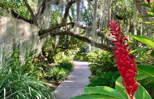 Paradise Found Cayo Hueso - Foto 42