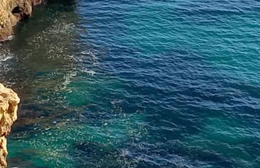 Casa à Porta do Torreão - Photo 28