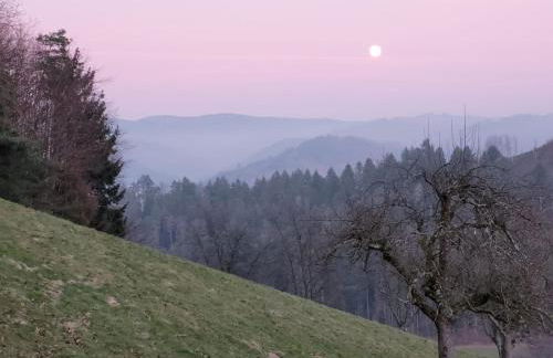 Am Boulevard - Foto 20