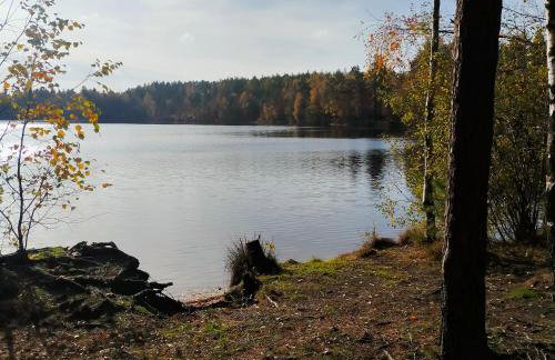 Kaszubski Zakątek - Foto 69