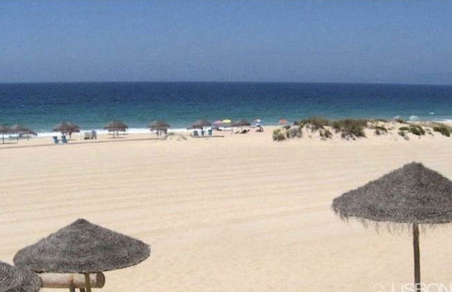 Villa Of Cedars Spirit, Garden Pool - Foto 53