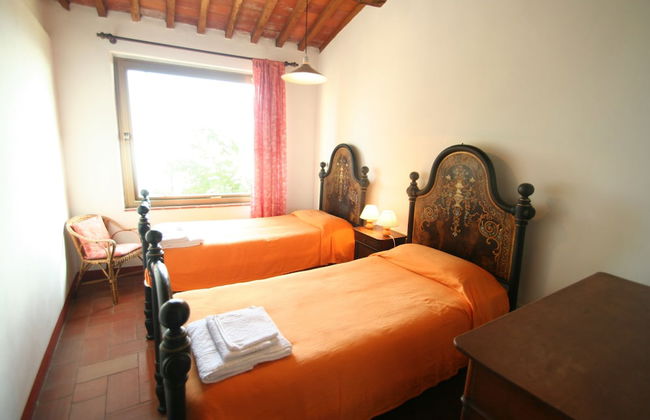 Fattoria Gambaro di Petrognano - Foto 21