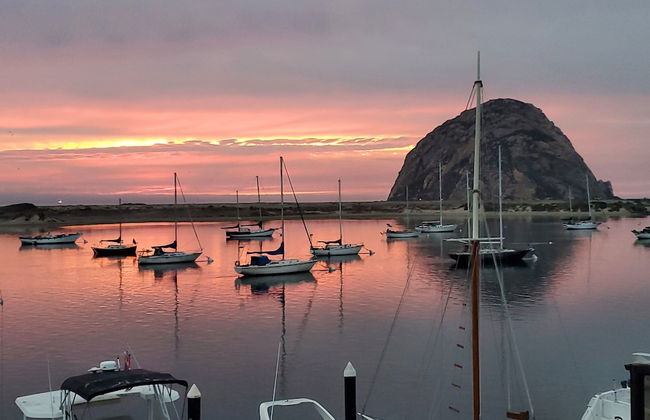 Gray's Inn & Gallery - Foto 30