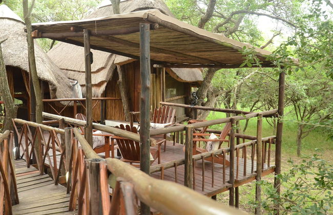 Pezulu Tree House Lodge - Foto 6