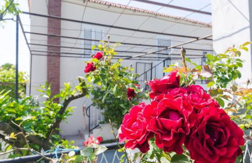 Villa Dalmatian Gem - Two-Bedroom Villa with Terrace and Swimming Pool - Photo 29