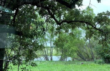 Tranquil Modern Cabin with Friendly Farm Animals & Pond Views Near Cedar Creek, Texas - Photo 38