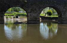 Pomar das Oliveiras - Private Swimming pool - Free EV Chrg - Pet Friendly - Foto 18