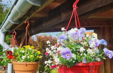 Ferienwohnung *Zur Weinbergstraße* - Foto 26