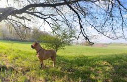 Haus Auenland - Photo 33