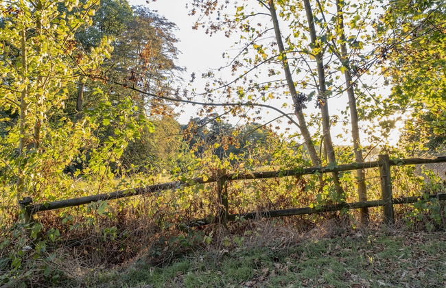 Chateau de Tressé - Foto 56