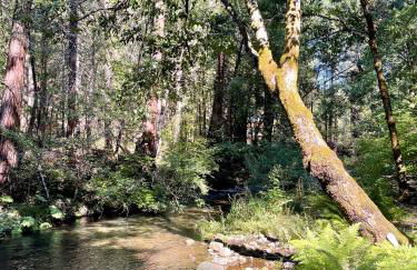 Lux, designer 8-acre retreat with private creek - Foto 37