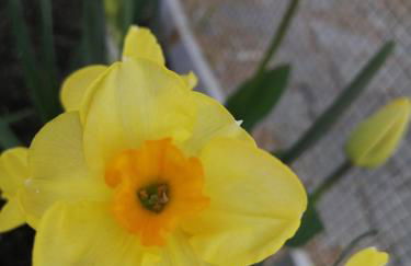 Agriturismo Nuvolino - Foto 48