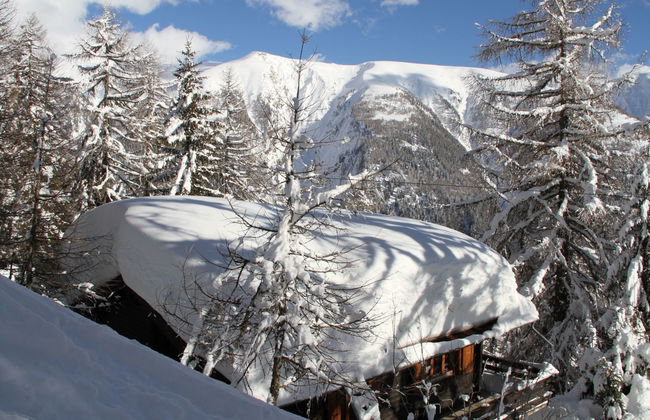 Chalet Soldanella (BEL205) - Foto 21