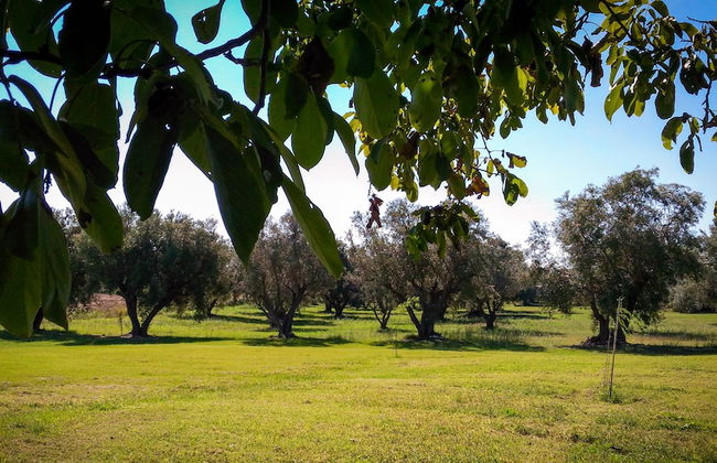 Agriturismo San Matteo - Foto 19