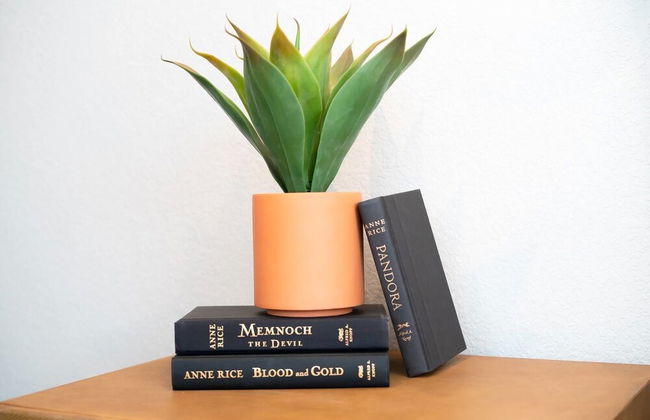 Frida's Abode Walk to the Stadium Rooftop View - Photo 25