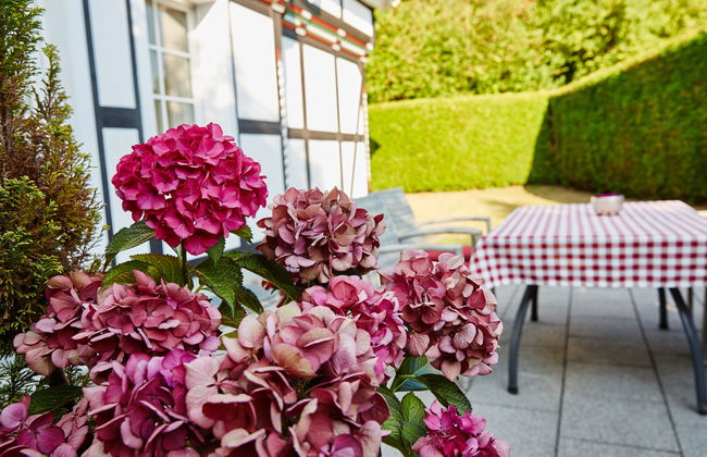 3 bedroom House in Attendorn with garden and terrace - Photo 22