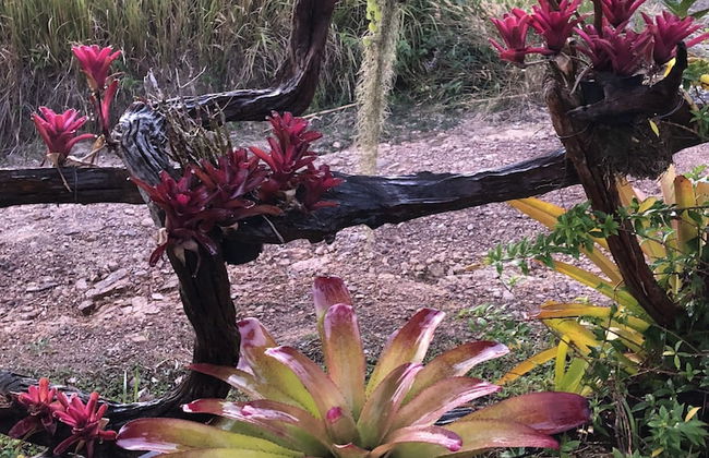 Klong Muang Seaview - Photo 36