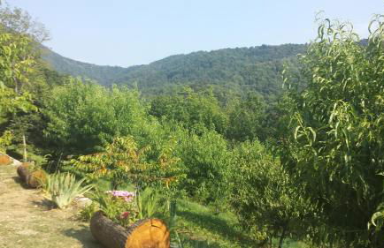 Casa delle Noci - Foto 27