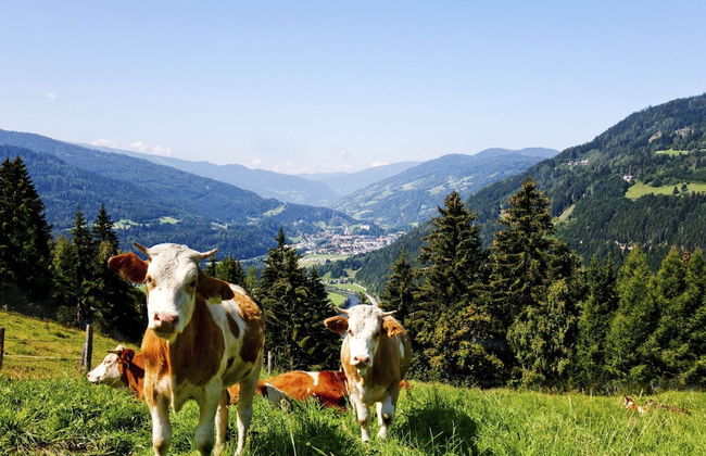 Chalet in Stadl an der Mur / Styria Near ski Area - Foto 31