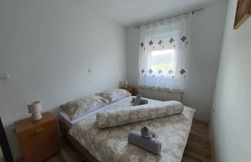 Apartment Vesna Toplice Sveti Martin - Foto 6