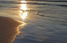 Apartament przy Lesie - Domki u Piotrusia - Foto 24