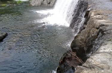 Casinha das Estrelas - Foto 44